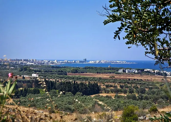 Musica サンニコーラ